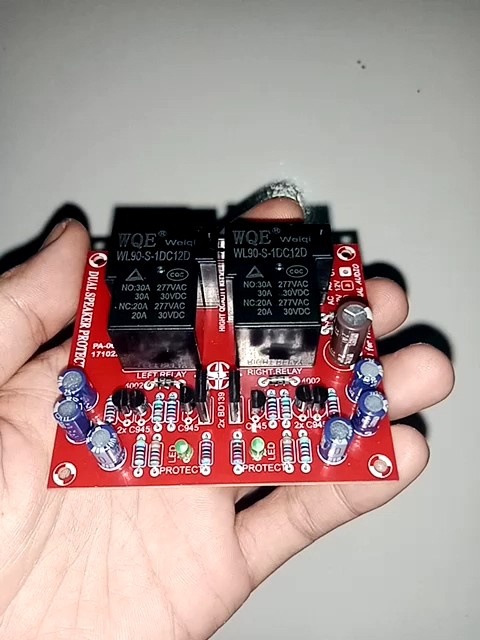 Kit dual speaker protector 12 volt 30A