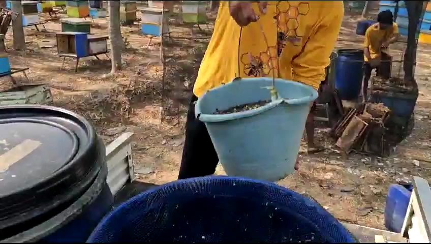 Madu Hutan Asli Madu Multiflora 250mili Madu Murni Original Madu Madu Tanpa Campuran Honey Original