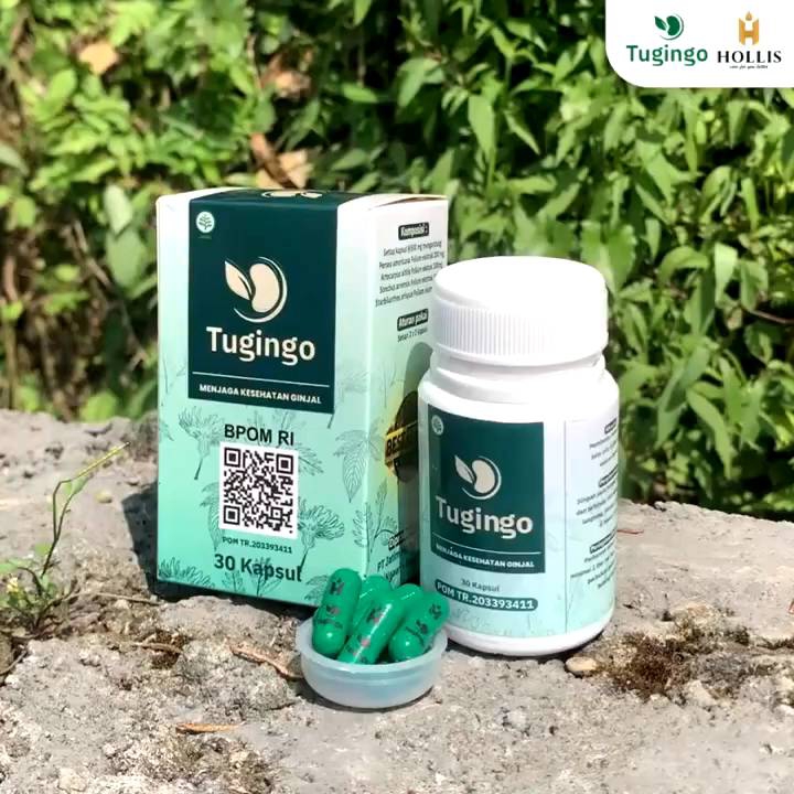 TUGINGO Obat Batu Ginjal herbal Batu Empedu Infeksi Ginjal Ampuh Garansi Original