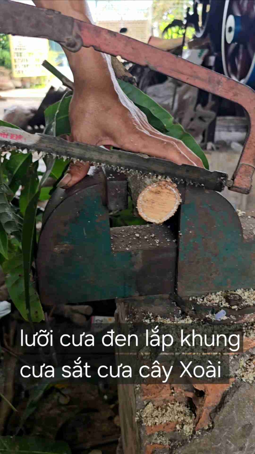 Lưỡi cưa lắp vào khung cưa sắt để cưa cây Anh Kiệt