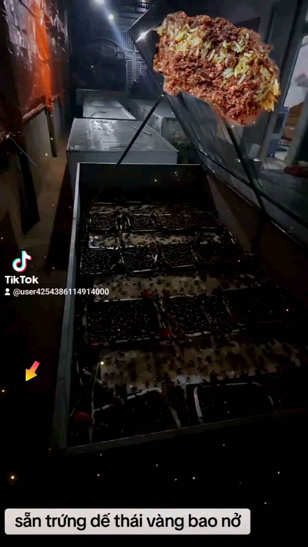 1kg trứng giống tặng kèm 1kg cám xay nhỏ