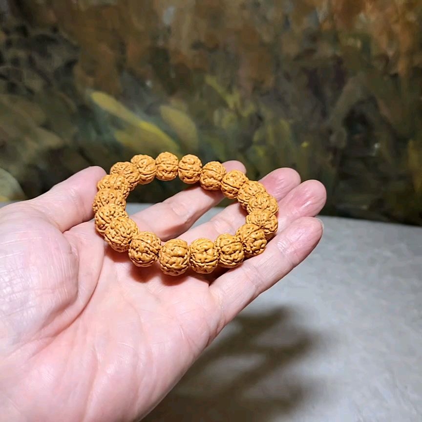 14.5mm+ Premium 5 Mukhi (Faces) deep lines "Double Dragons" "Panlong" Rudraksha bracelet 五瓣深坑树王双龙盘龙小金刚菩提子手链