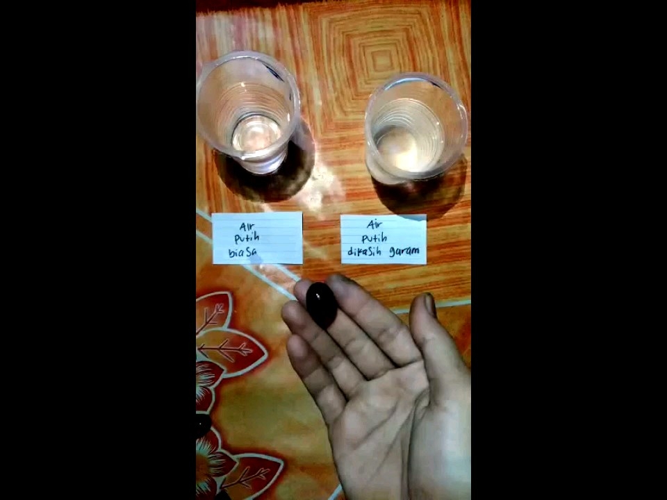 Cincin GETAH KATILAYU NATURAL Batunya bisa mengambang di air cuka cincin batu akik natural kwalitas jos