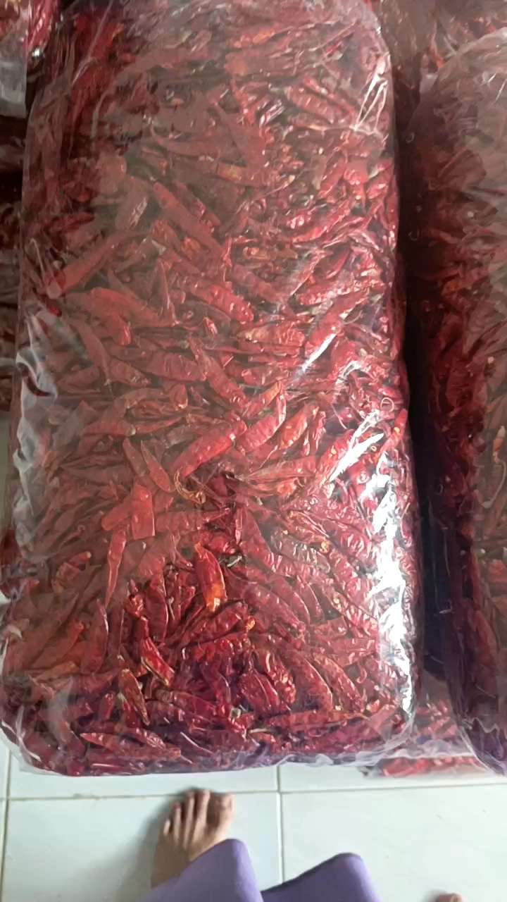 KEMASAN (5KG) CABE RAWIT TEJA KERING KUALITAS SUPER MERAH SUPER PEDAS