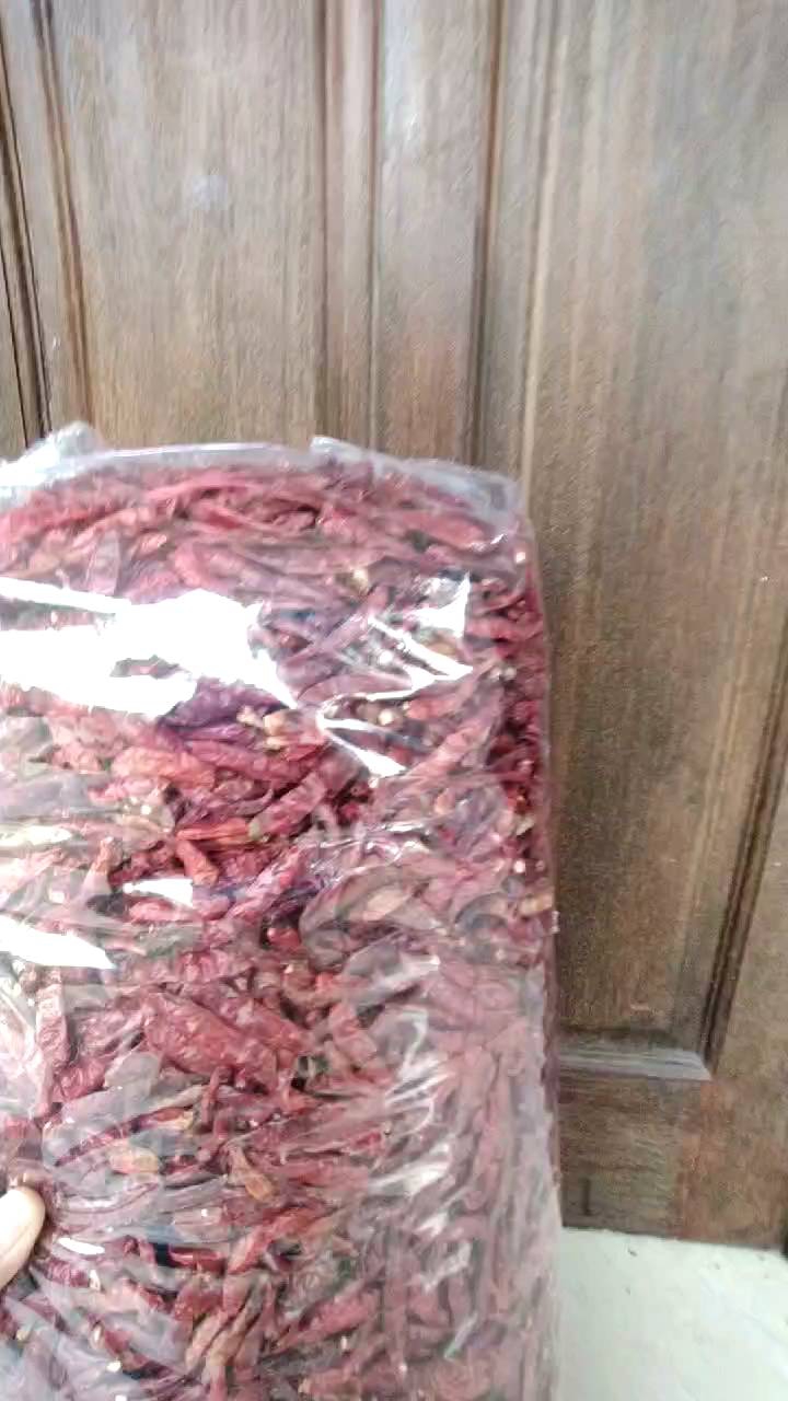 (5KG) CABE RAWIT TEKA CAPLAK KERING KUALITAS SUPER MERAH SUPER PEDAS