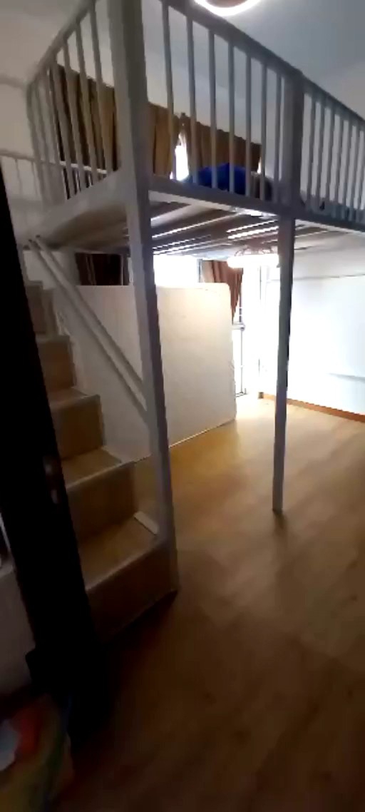 Large size loft bed customize Singapore