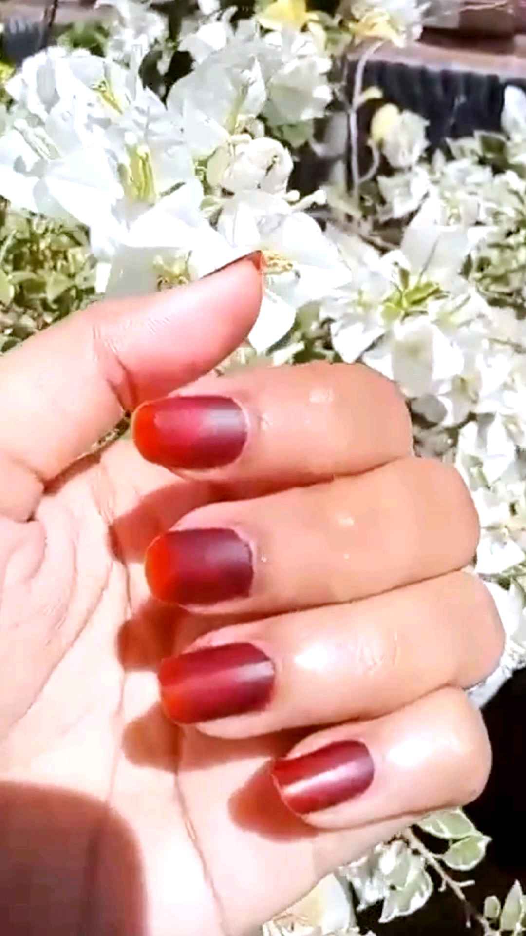Kutek Henna Al-latif Halal BPOM Magic Maroon 15gr