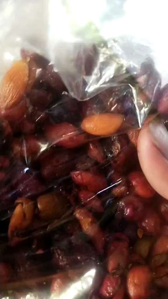 keripik kulit melinjo pedas manis 500g