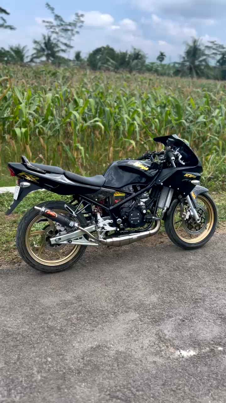 KNALPOT STAINLESS KOBRA NINJA 2 TAK RR/SS/R ORIGINAL WIN SPEED KARBON CATUR