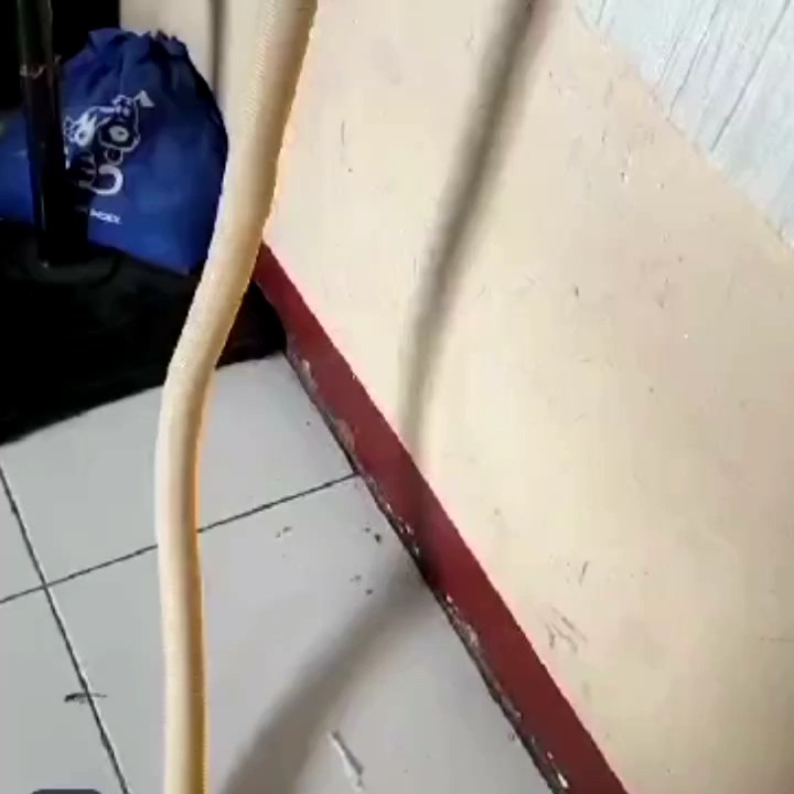 Wastafel Plastik PVC Innoplas: Tahan Lama & Desain Modern