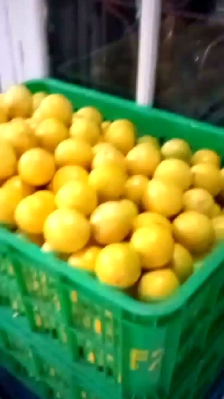 Jeruk lemon California super 1 kilo gram