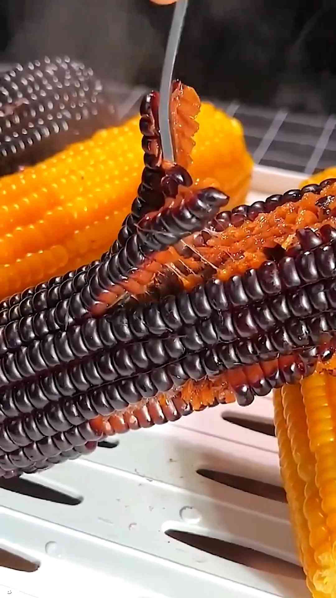 benih jagung hitam lumer dari jepang asli k masan pabrik
