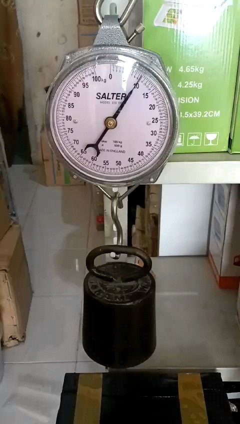 Timbangan Gantung Manual Jarum Salter 25kg 50kg 100kg England Goat Brand