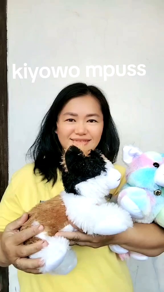 Boneka Kucing Rainbow