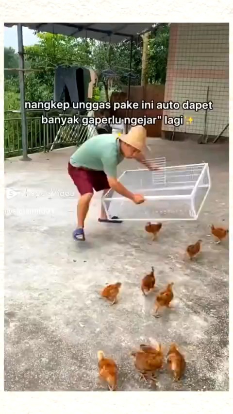 murah kandang lipat kucing ayam burung unik bisa masuk ngga bisa keluar ukuran 60x40x30
