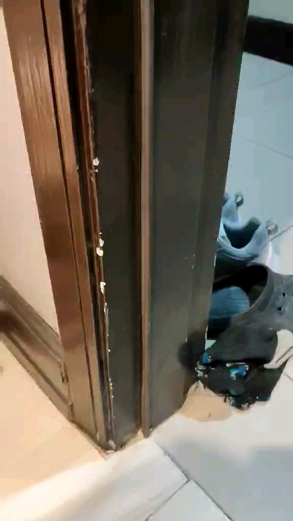 Athmer Perimeter Door Seal PS 788: A Durable Weatherproof Solution