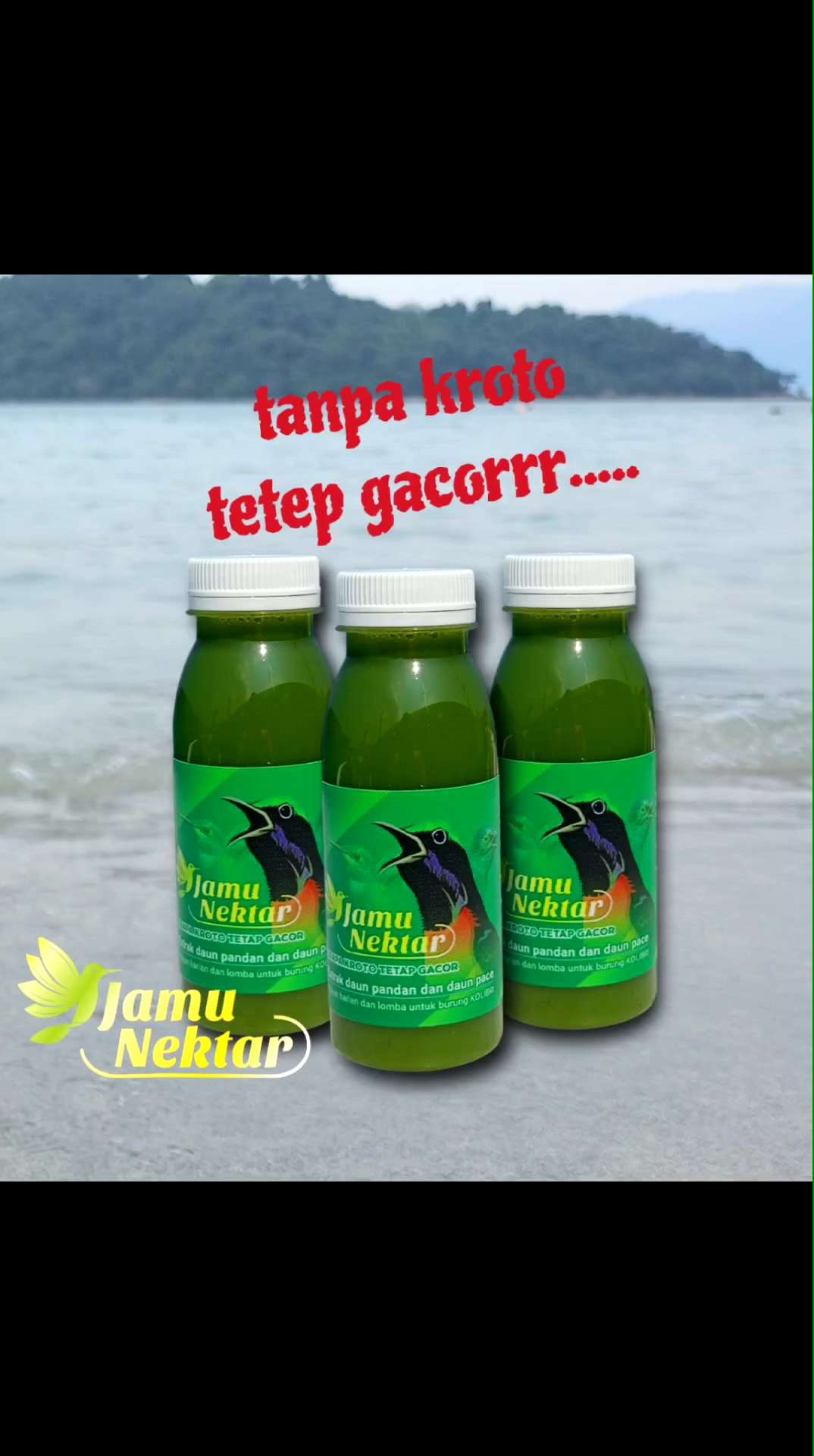 JAMU NEKTAR/PAKAN BURUNG KOLIBRI/KONIN/NECTAR