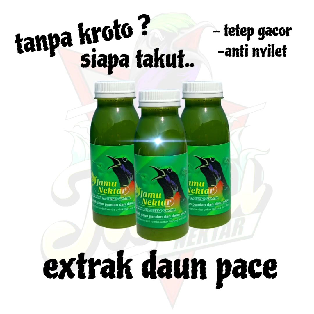JAMU NEKTAR/PAKAN BURUNG KOLIBRI/KONIN/NECTAR