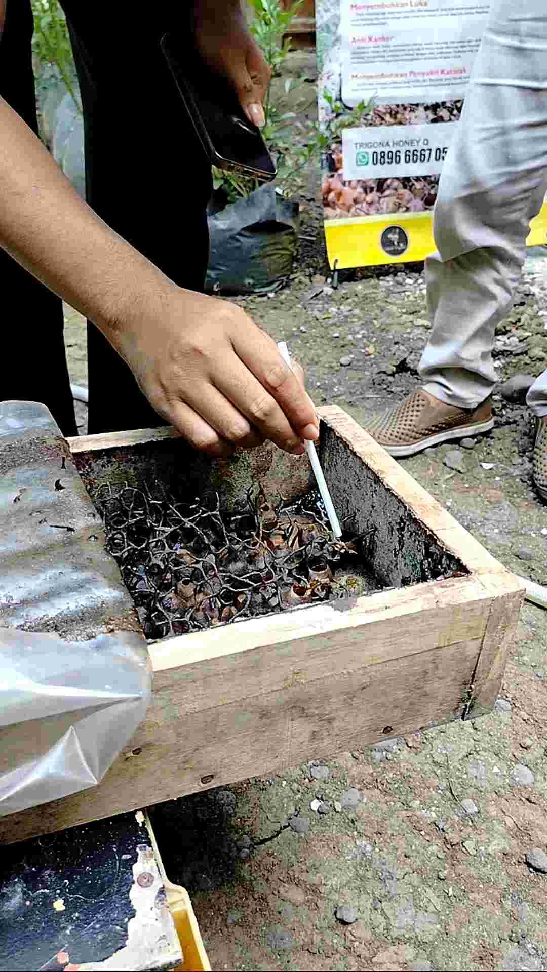 Madu Klanceng Murni Kandungan 10x Lipat 450ml