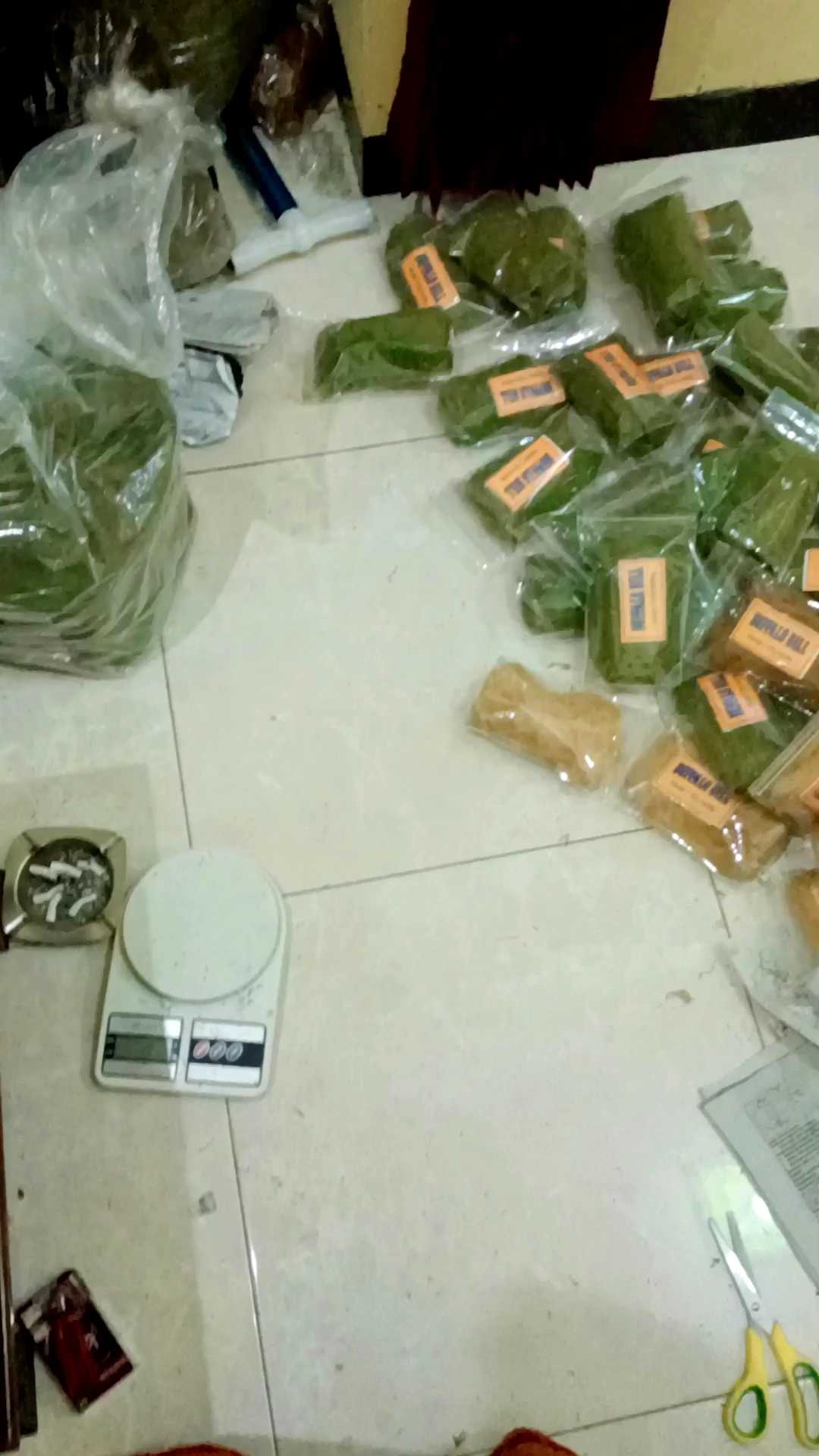 daun talas hijau aceh super premium hijau rempah pilihan 1kg