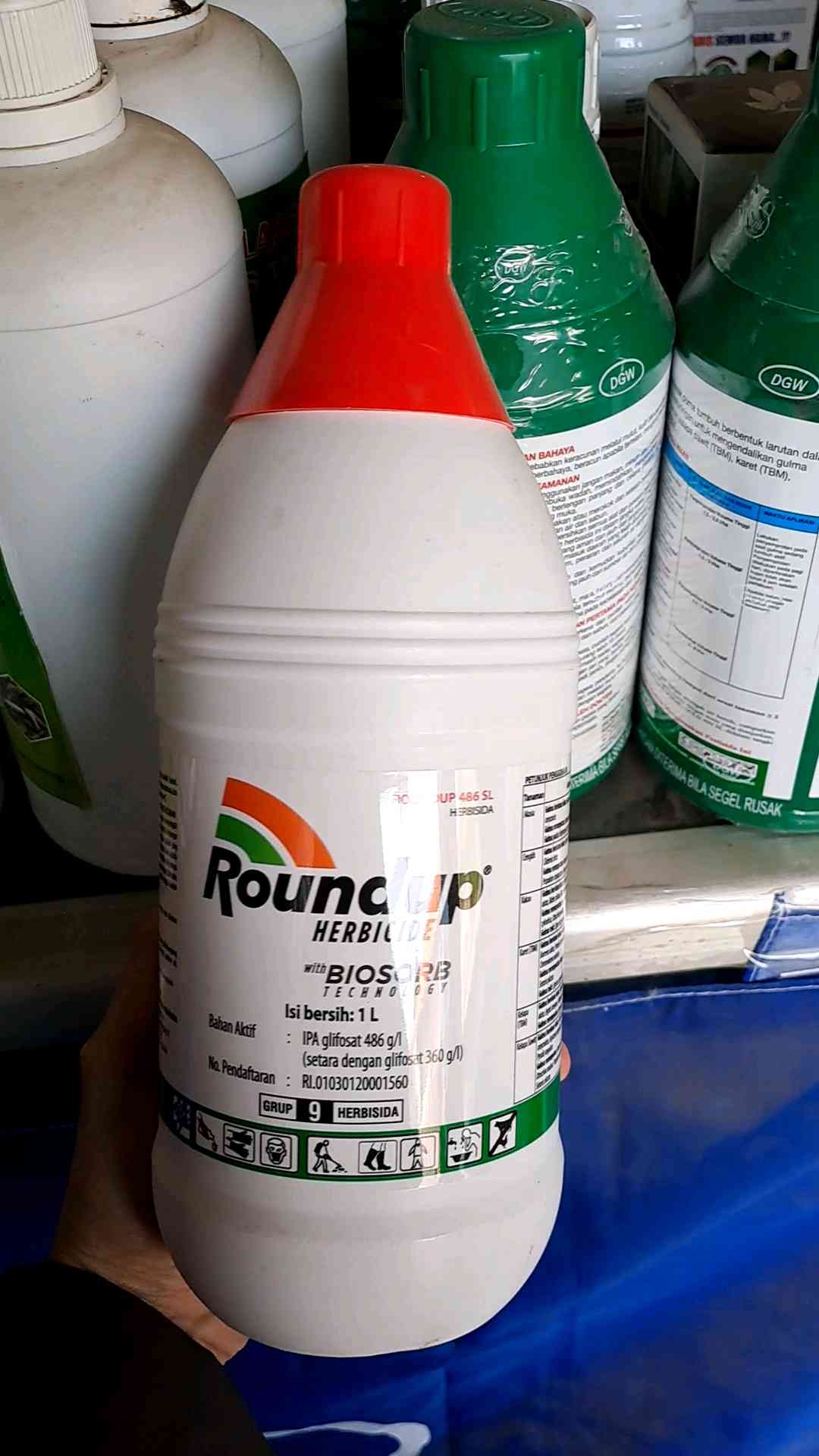 ROUNDUP 486 SL HERBISIDA PENGENDALI RUMPUT // RONDAP PEMBASMI RUMPUT