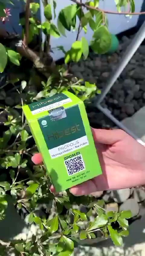 Obat Hipertensi Darah Tinggi - Propolis HIBEST Original Jamu Tetes Herbal