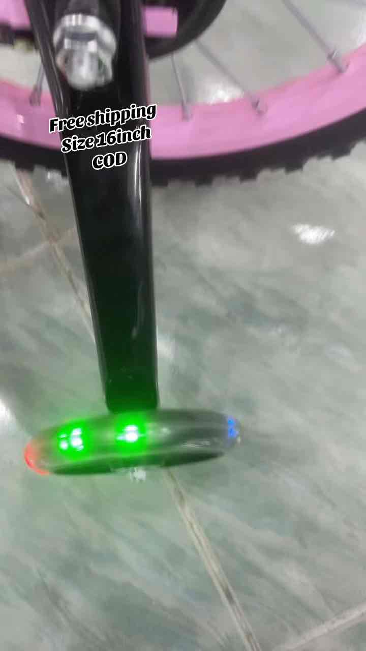 Bicycle Size16 inch+Frozen bicycle tahun(4-8)Ready stock