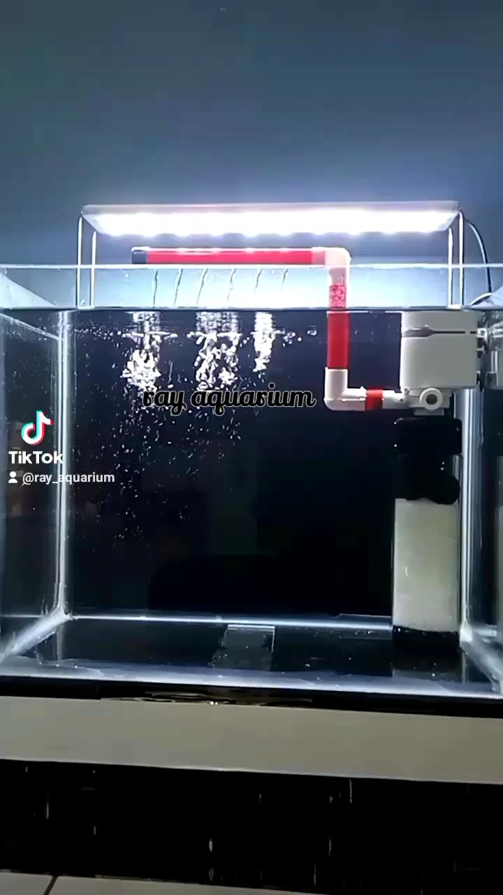Pipa Output Pompa Filter Aquarium: Pilihan Terbaik untuk Anda