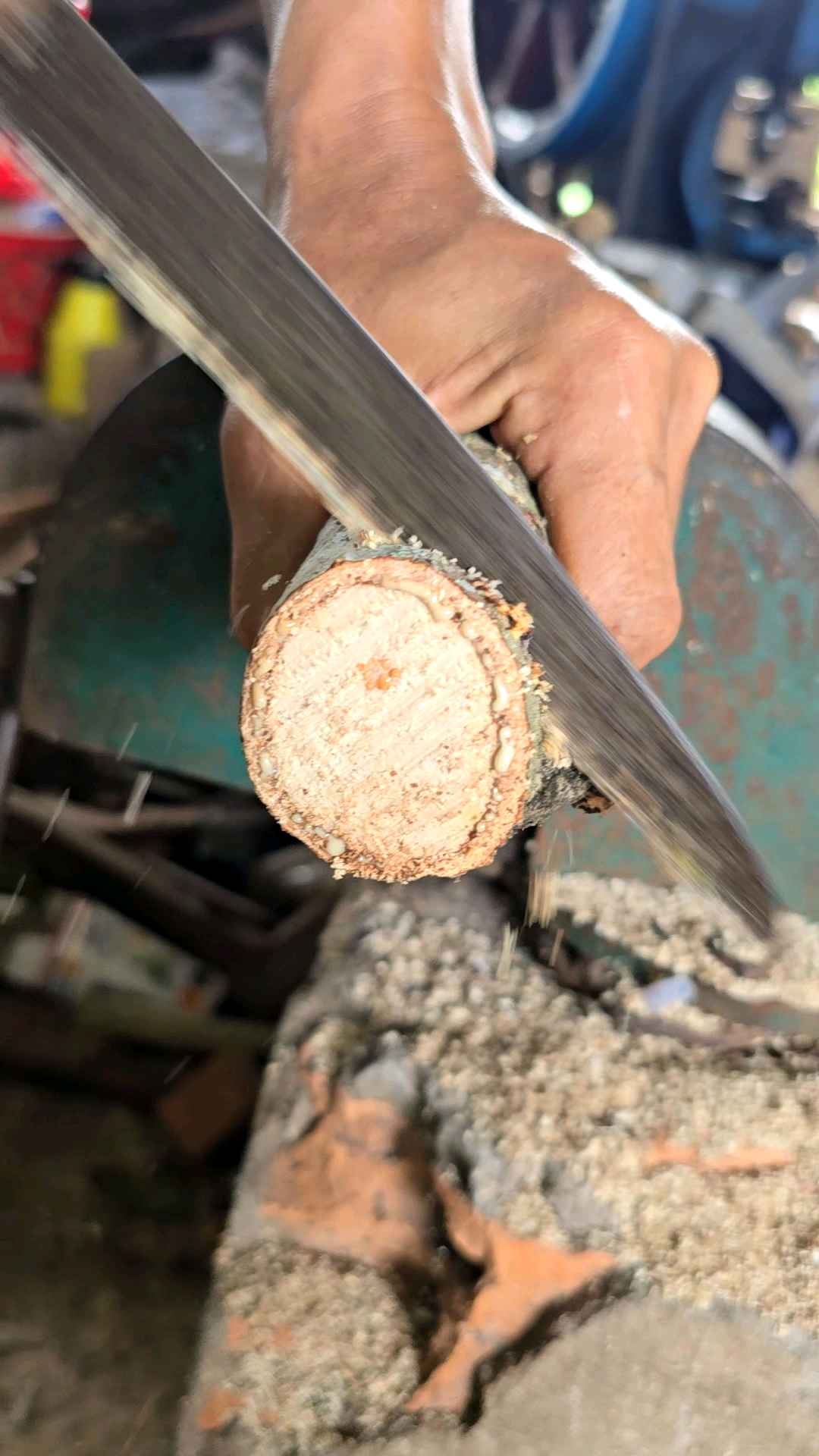 Cưa gấp gọn Anh Kiệt thép CD chất lượng cao