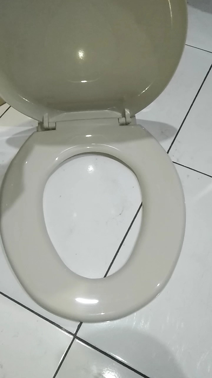 Tutup Kloset Duduk Universal: Aksesori dan Cara Penggunaan