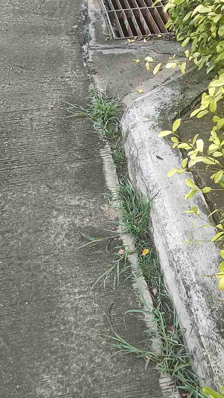 คราดถอนหญ้าอุปกรณ์กำจัดวัชพืช เครื่องมือทุ่นแรง