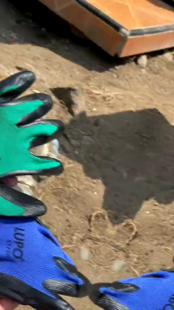 Sarung Tangan LUPO Naylon Latek Plam Fit Anti Slip Kaca Anti Gores Safety