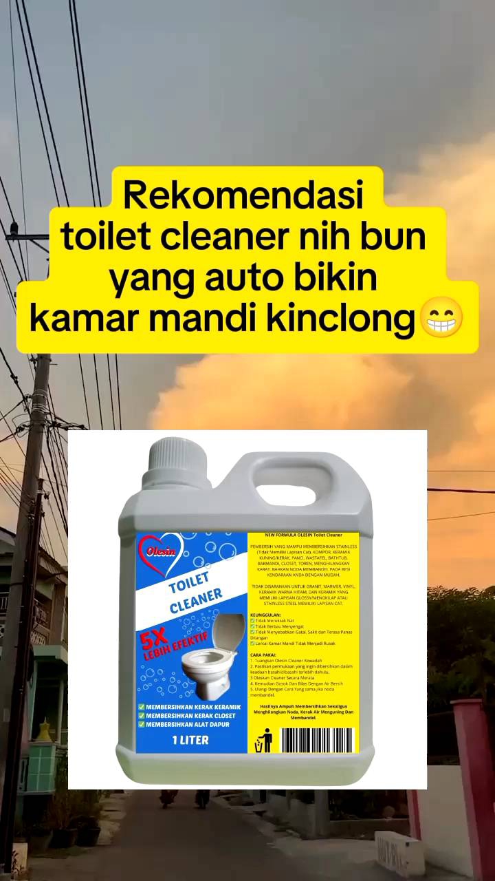 Toilet Cleaner Cairan pembersih kerak Keramik kamar mandi wc wastafel dan alat dapur