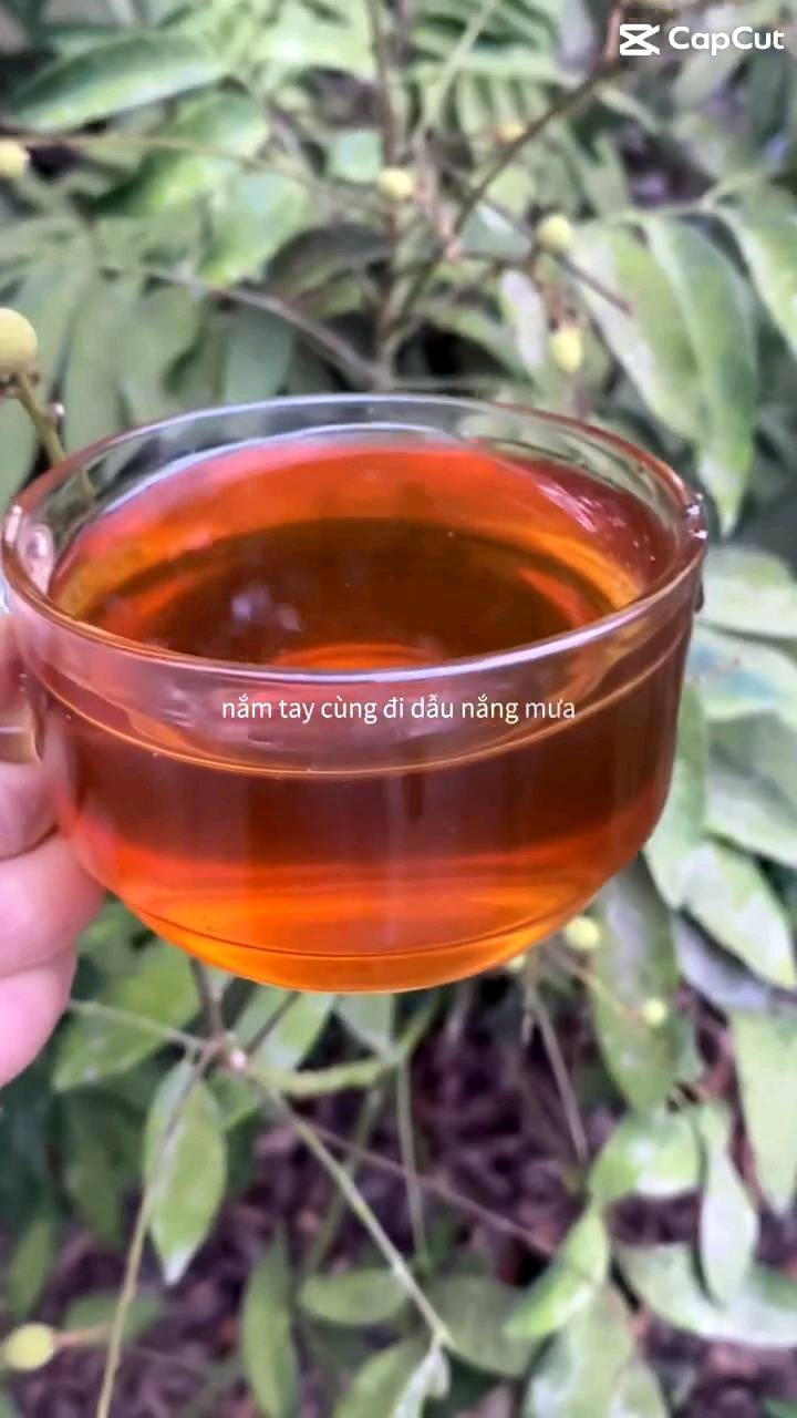 Mật Ong Nguyên Chất Hoa Vải Thanh Hà Hải Dương 1L