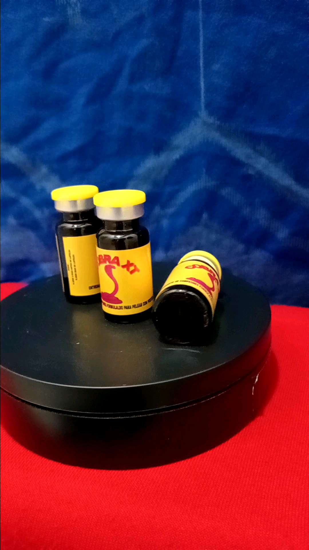 Juaranya DOPING taji suntik Ayam Aduan Petarung Philipin Super Ganas