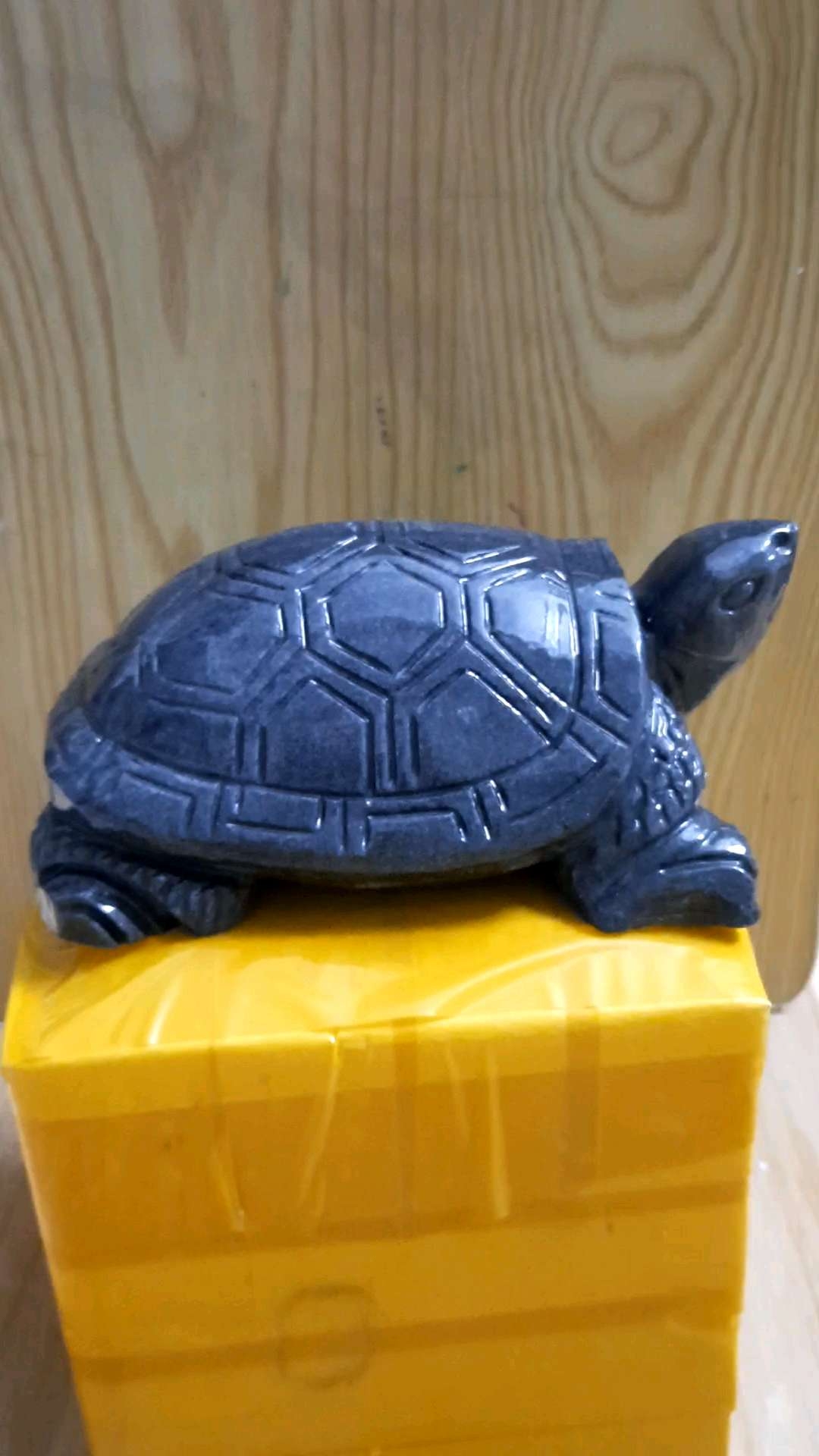 Rùa đá size lớn