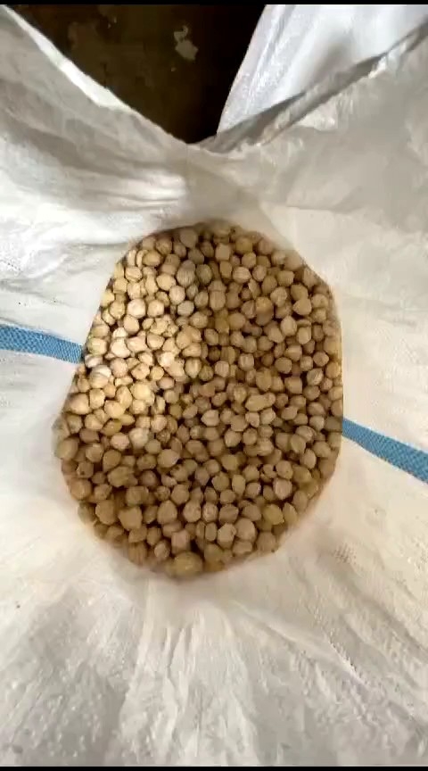 Kemiri Bulat 1 Kg: Manfaat & Cara Menggunakannya