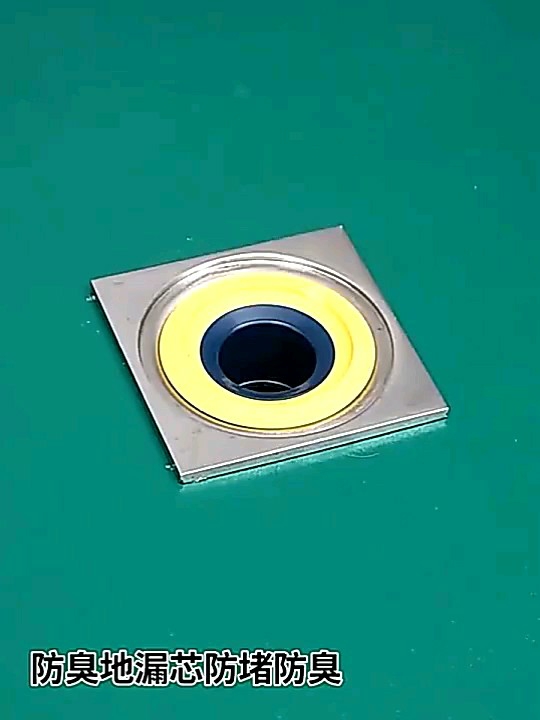 Saringan pembuangan air lantai anti bau anti kecoa - Floor Water Drain