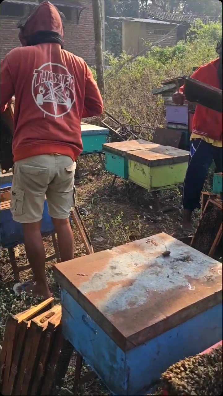 Madu Asli Nektar Klengkeng Madu Klengkeng 250mili Madu Hutan Asli Klengkeng Madu Tanpa Campuran Honey Frest