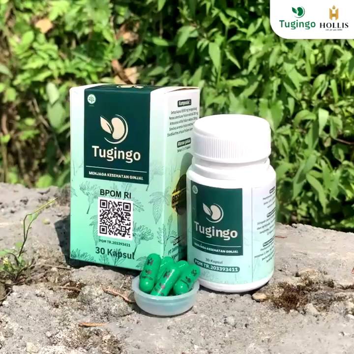 Obat Infeksi Saluran Kemih ISK Penghancur Batu Ginjal herbal Ampuh - Tugingo Asli Original