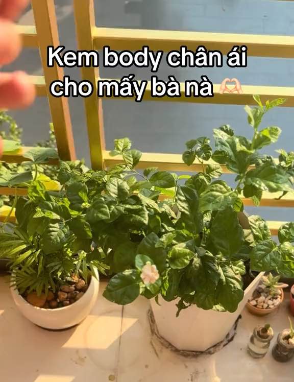 Kem Body XUKA X3 Cải Tiến Mới Màu Hồng Trắng Da Cấp Ẩm Chống Nắng Kháng Nước Hộp 250g